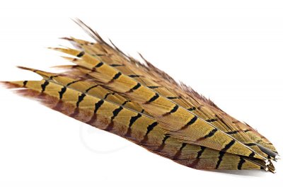 Troutline Selected Pheasant Tail Center Feathers